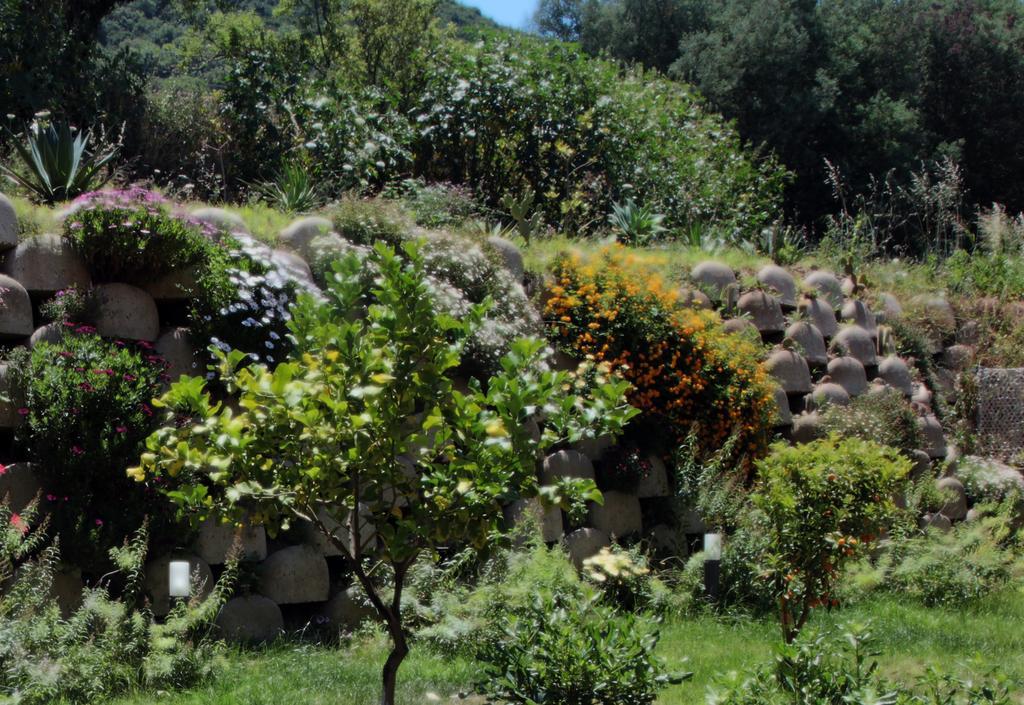 Residenza Roma Bed & Breakfast Tropea Exterior foto